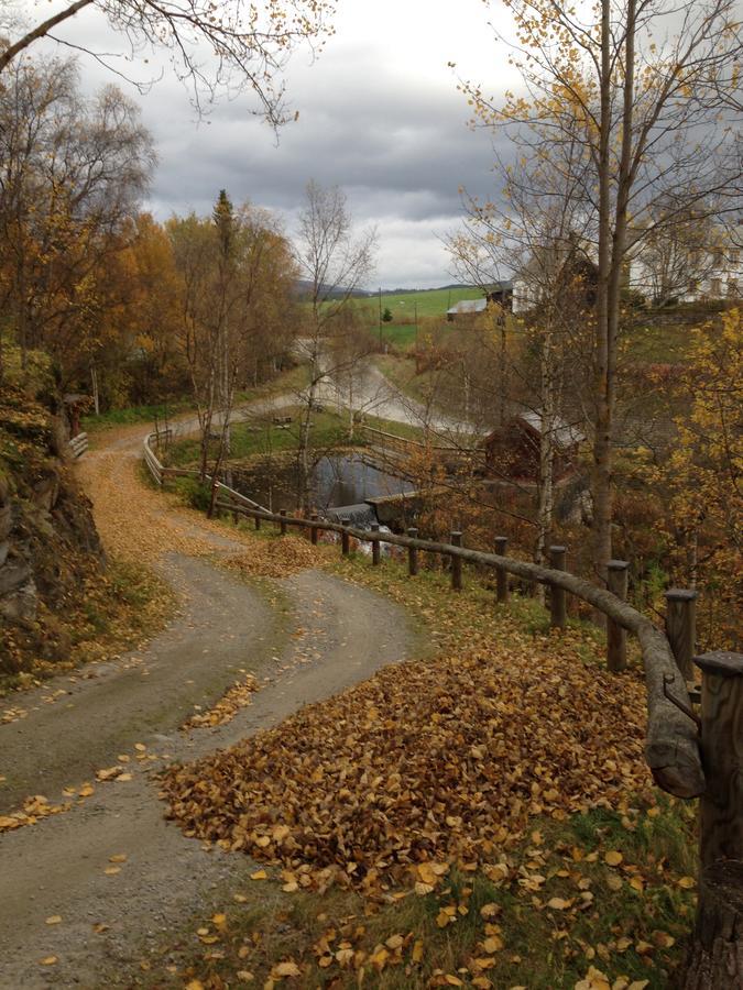 Ivaregga Vinterstua Tolga Eksteriør bilde