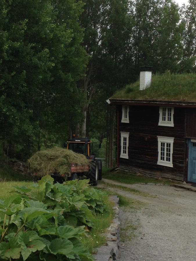 Ivaregga Vinterstua Tolga Eksteriør bilde