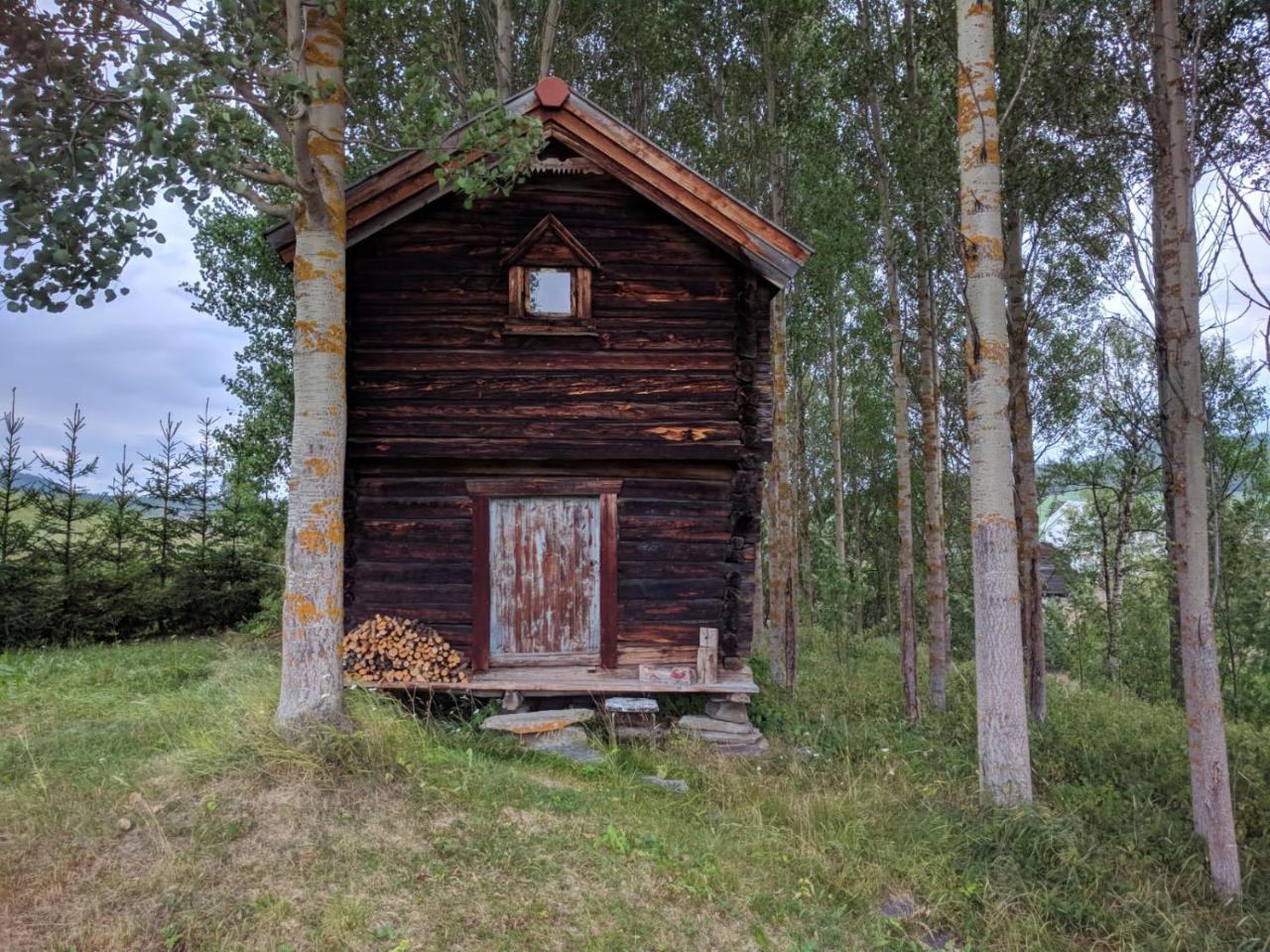 Ivaregga Vinterstua Tolga Eksteriør bilde